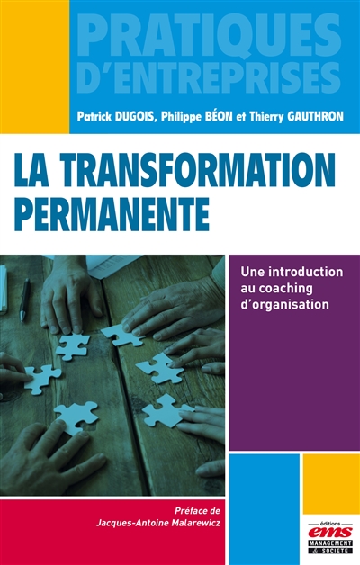 La transformation permanente - Une introduction au coaching d'organisation.